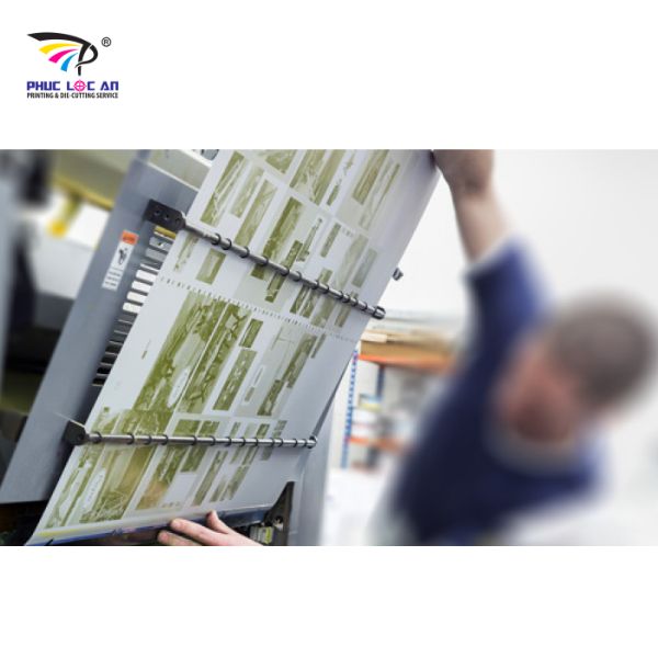 Chọn phần mềm phù hợp với sản phẩm in và độ phức tạp của thiết kế để đạt kết quả tốt 