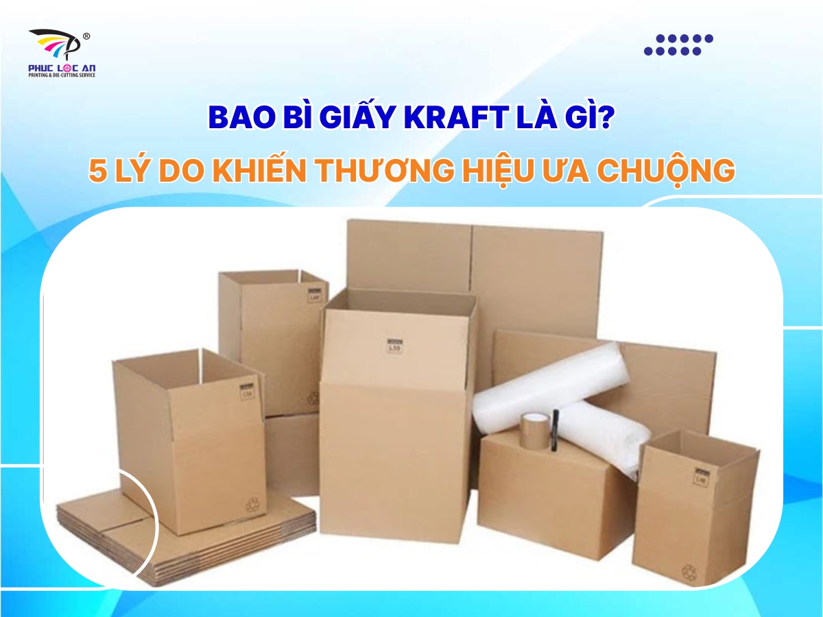 Bao bì giấy kraft là gì? 5 lý do khiến thương hiệu ưa chuộng Bao bì giấy kraft là gì? 5 lý do khiến thương hiệu ưa chuộng